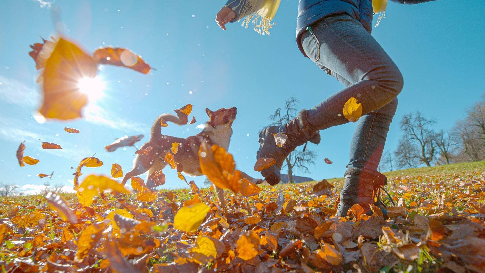 Selling? It’s all about the autumn shift